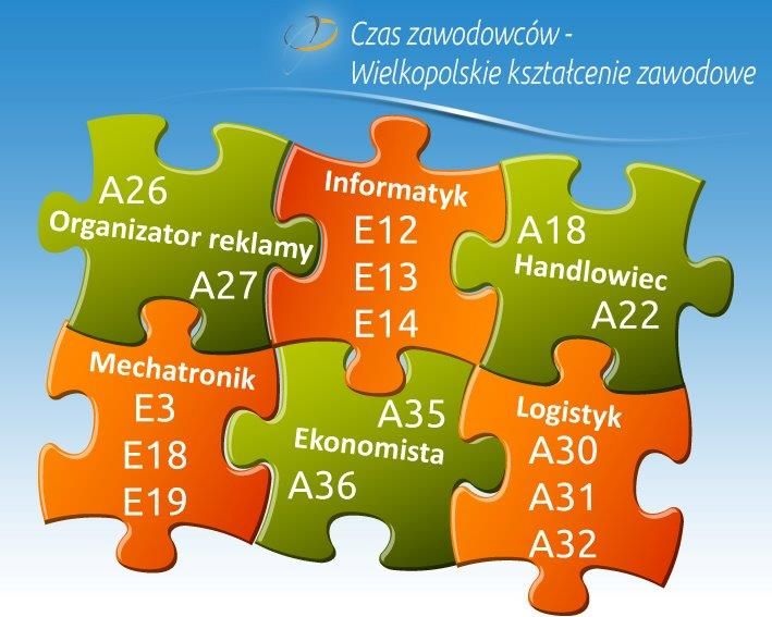 zawodowcy